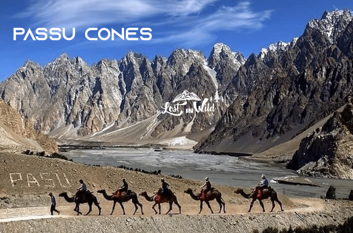 passu cones
